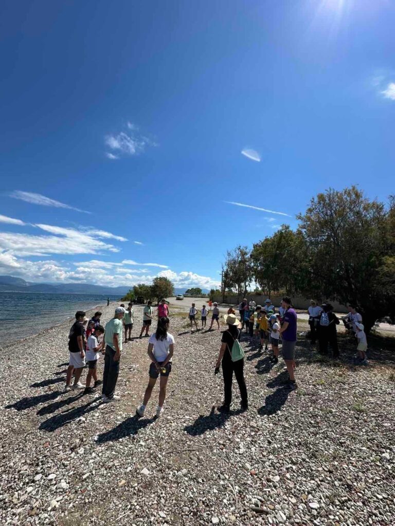 Κοινωνική δράση