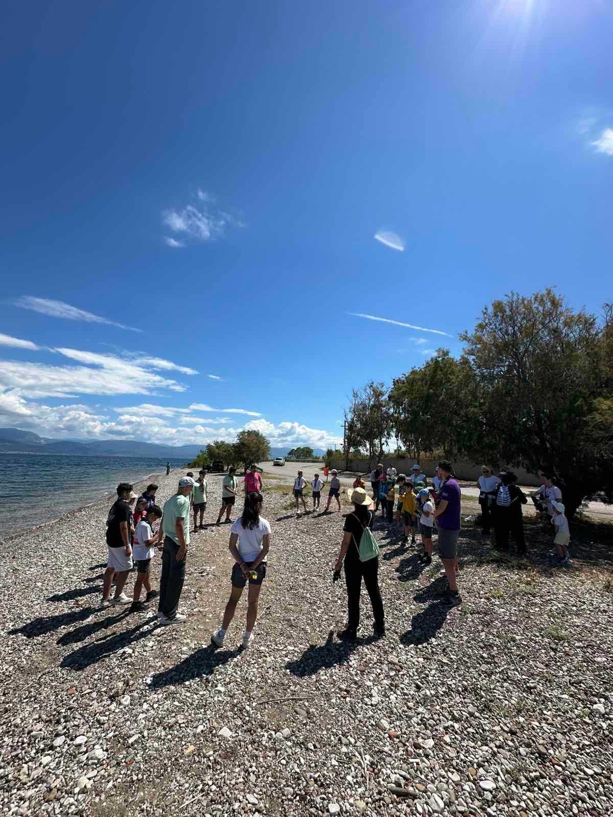 Κοινωνική δράση